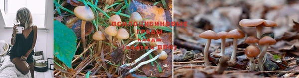 каннабис Карталы