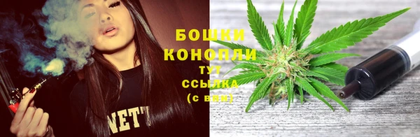 мет Карпинск