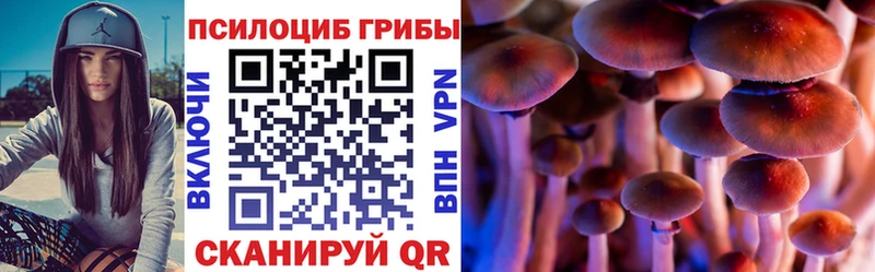Псилоцибиновые грибы прущие грибы  Александров 