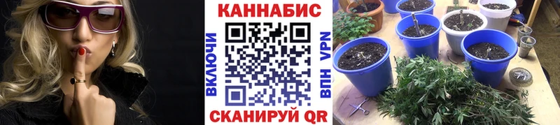 Канабис Ganja  darknet наркотические препараты  Александров 